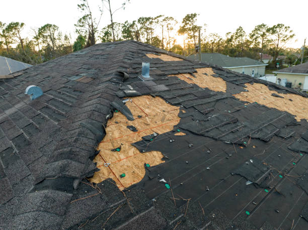 Best Skylight Installation and Repair  in Clayton, DE